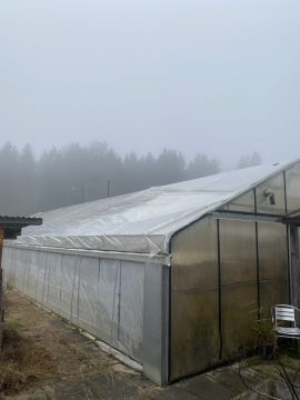 Greenhouse Services - F. W.