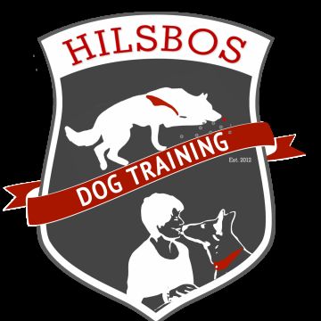 Hilsbos Dog Training - Waltenschwil - Hundetraining - Privatunterricht