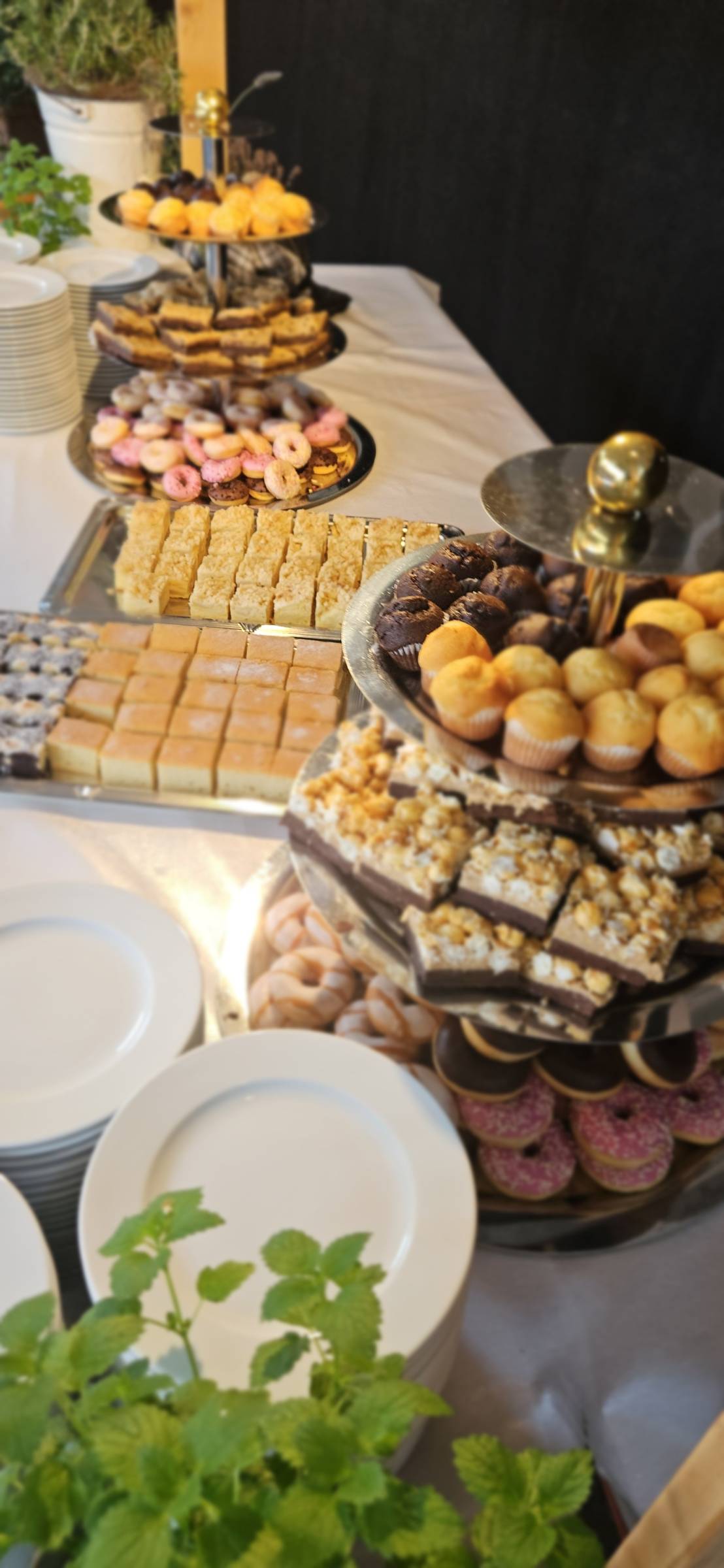 Peter Strásky Private Chef-Catering - Thun - Geburtstagsfeier