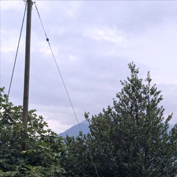Bagga81 - Zollikofen - Semeadura