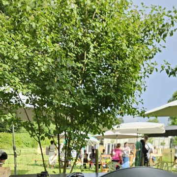 Peter Strásky Private Chef-Catering - Thun - Event Catering (Buffet)