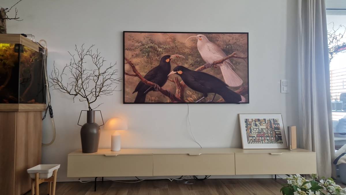 Techniker für Fernseher Wandmontage