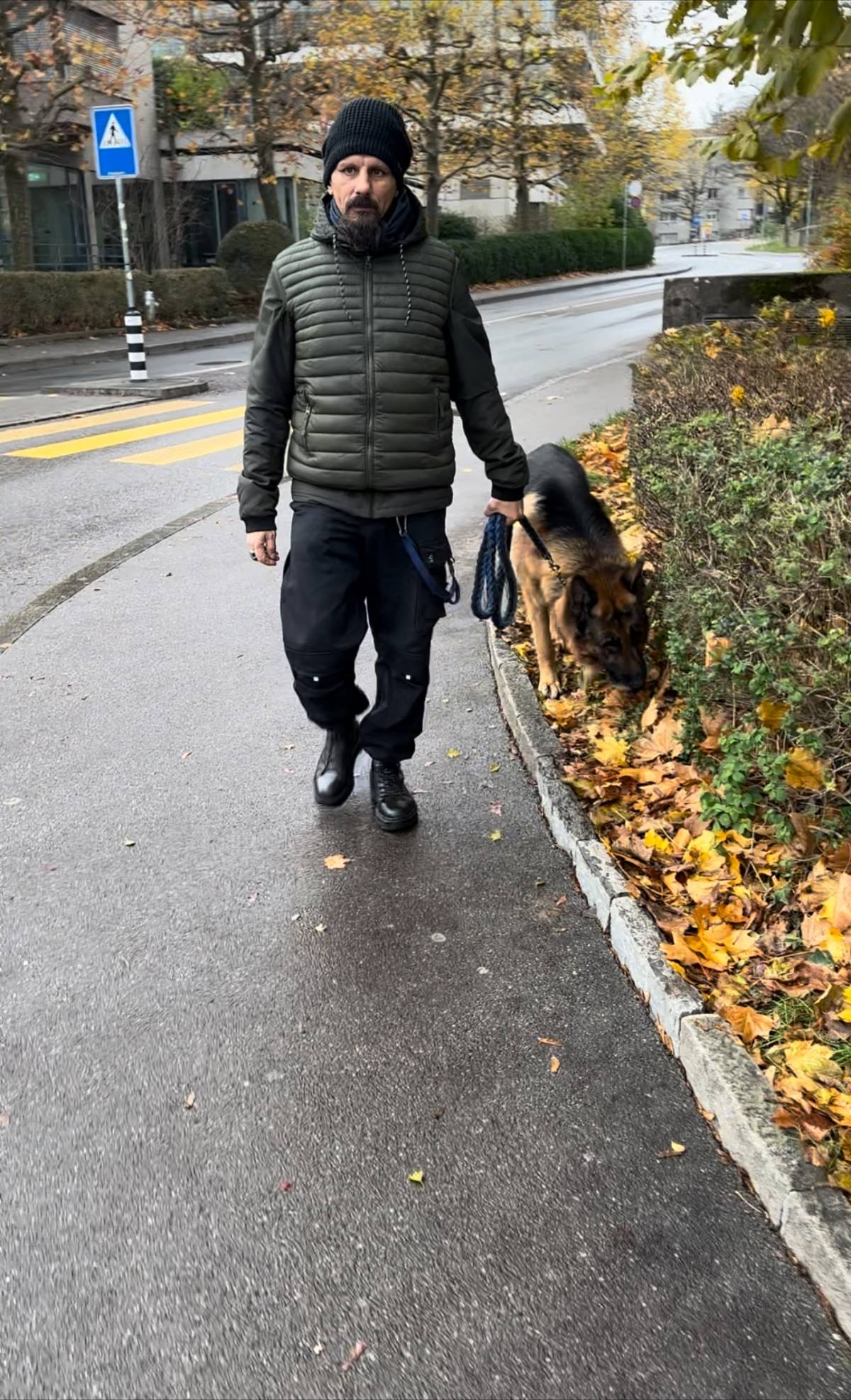 Vitellis Professionelle HUNDE TRAINING UND BETREUUNG - Zuchwil - Partyplanung