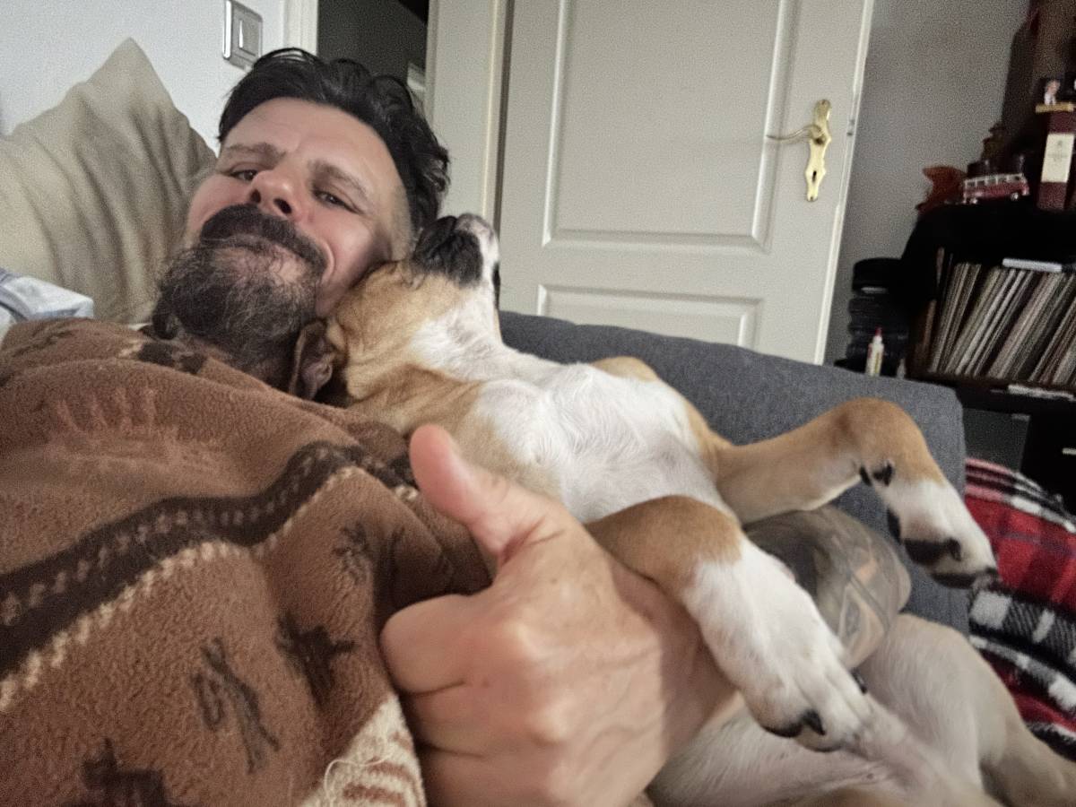 Vitellis Professionelle HUNDE TRAINING UND BETREUUNG - Zuchwil - Hundetagesstätte (Hundesitter)