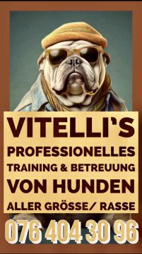 Vitellis Professionelle HUNDE TRAINING UND BETREUUNG - Zuchwil - Hundetraining - Betreuung und Training