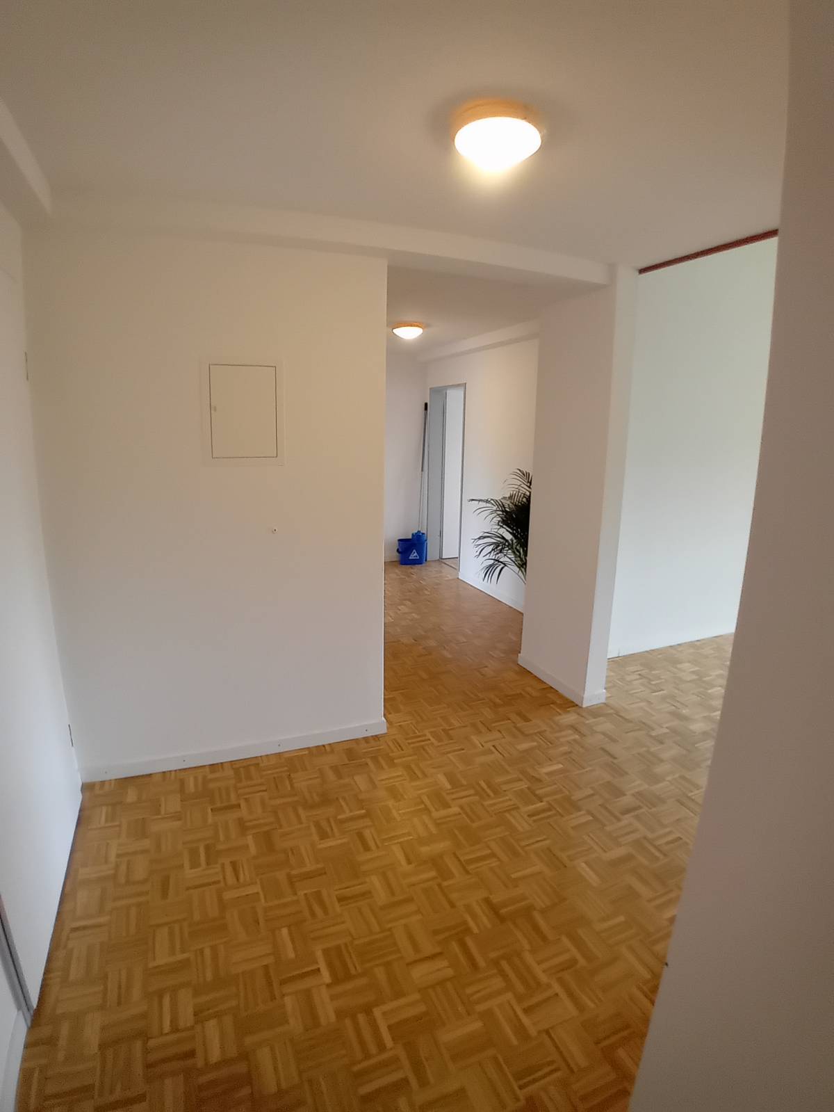 Garcia da conceicao malerei - Sankt Gallen - Property Cleanup