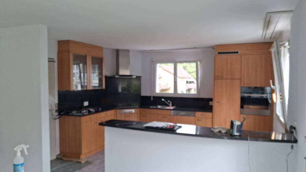 Garcia da conceicao malerei - Sankt Gallen - Apartment Cleaning
