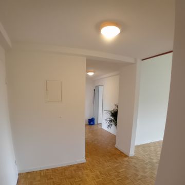 Garcia da conceicao malerei - Sankt Gallen - Property Cleanup