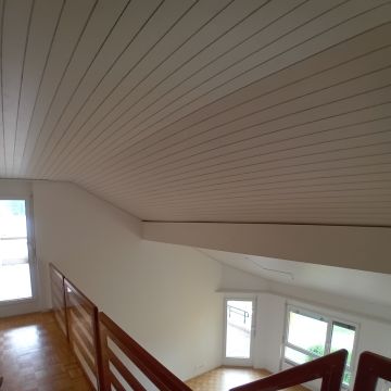 Garcia da conceicao malerei - Sankt Gallen - Commercial Cleaning