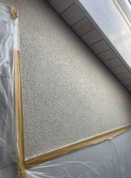 Christian Savu - Wölflinswil - Exterior Painting