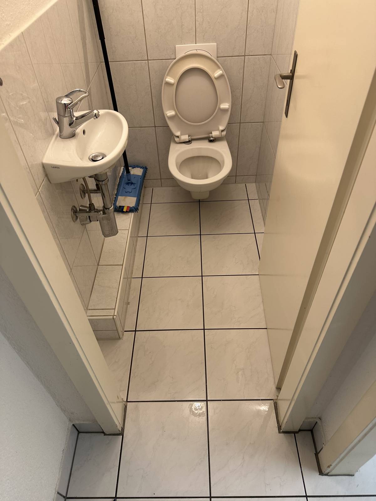 HZ Allrounder Service-Zenelaj - Rümlang - Baumstumpf oder -wurzel wegfräsen und entfernen