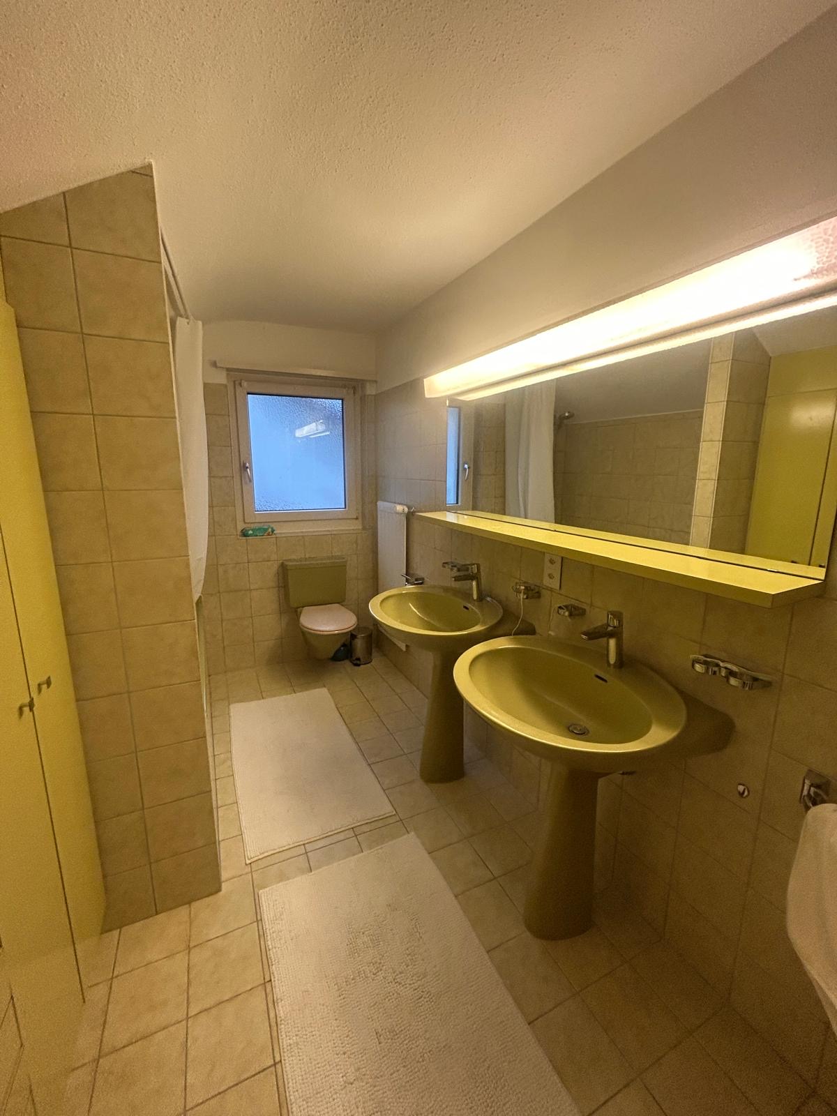 HZ Allrounder Service-Zenelaj - Rümlang - Rasenkanten verlegen