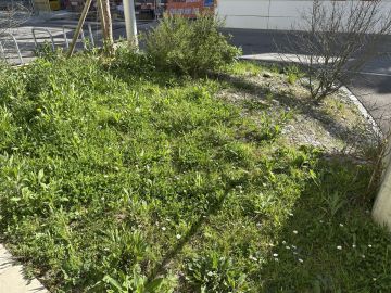 Service de jardinage