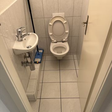 HZ Allrounder Service-Zenelaj - Rümlang - Baumstumpf oder -wurzel wegfräsen und entfernen