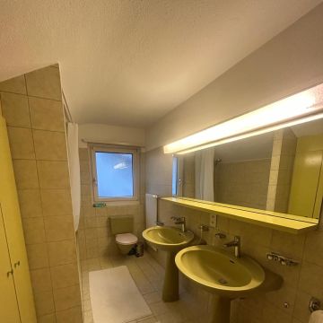 HZ Allrounder Service-Zenelaj - Rümlang - Rasenkanten verlegen