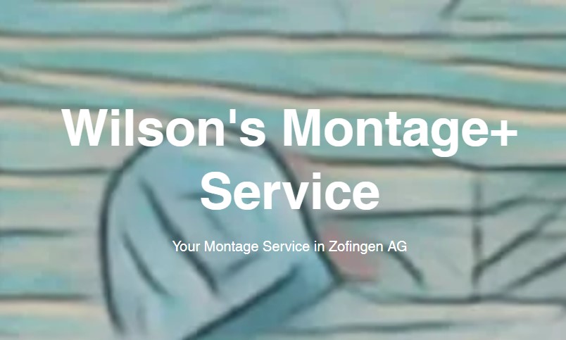 Wilson's Montage+ Service - Zofingen - Baumstumpf oder -wurzel wegfräsen und entfernen