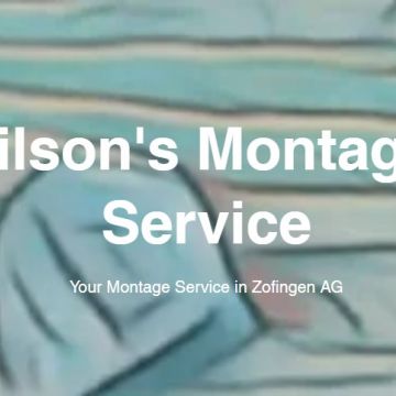 Wilson's Montage+ Service - Zofingen - Baumstumpf oder -wurzel wegfräsen und entfernen