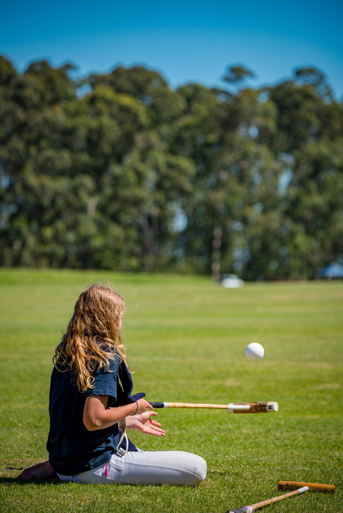 Polo Academy Switzerland KLG - Hettlingen - Ausbildung mit Tieren