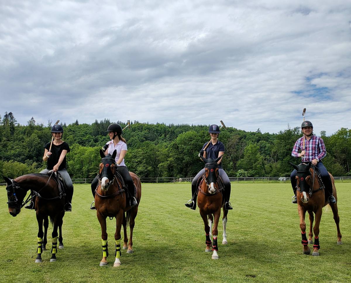 Polo Academy Switzerland KLG - Hettlingen - Verhaltensänderung beim Tier