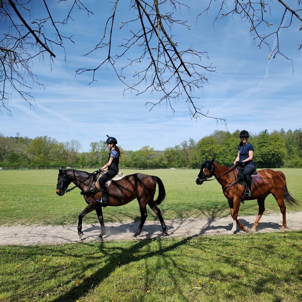 Polo Academy Switzerland KLG - Hettlingen - Reitstunden für Kinder oder Jugendliche