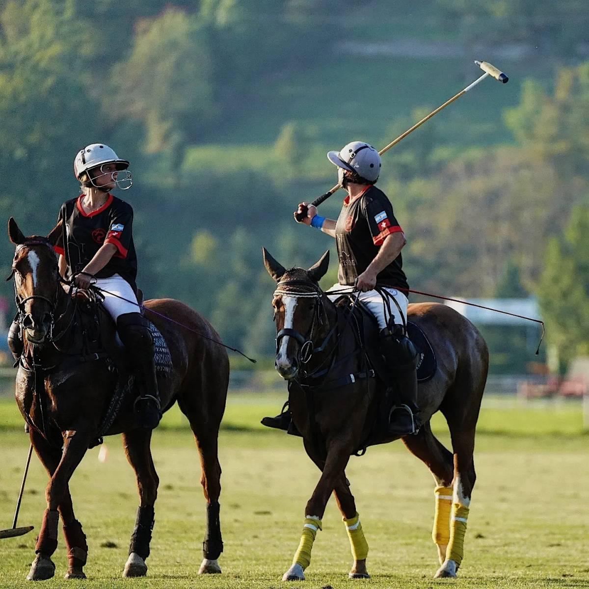 Polo Academy Switzerland KLG - Hettlingen - Reitstunden für Kinder oder Jugendliche