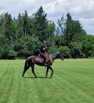 Polo Academy Switzerland KLG - Hettlingen - Sport