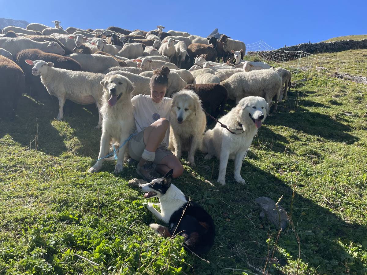 Luana - Schänis - Hundeausführung