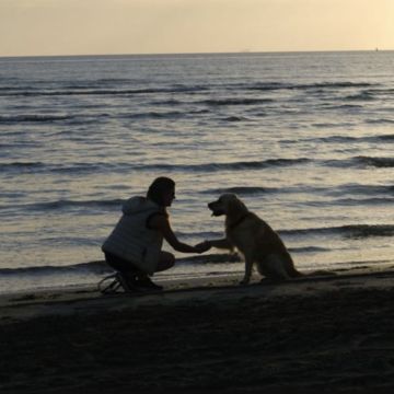 Caro - Dinhard - Hundetraining - Privatunterricht