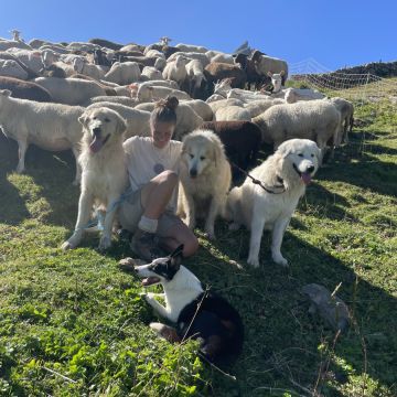 Luana - Schänis - Hundeausführung