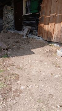 A.R.L. Alexandre - Nelas - Home Waterproofing