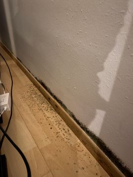 Reinigung - Familie und Haushalt