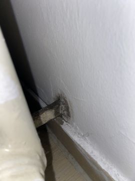 Experten für Schimmelbeseitigung