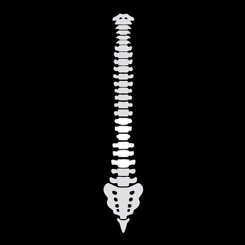 Physio FDR Sport - Sankt Margrethen - Physiotherapie - Krankengymnastik