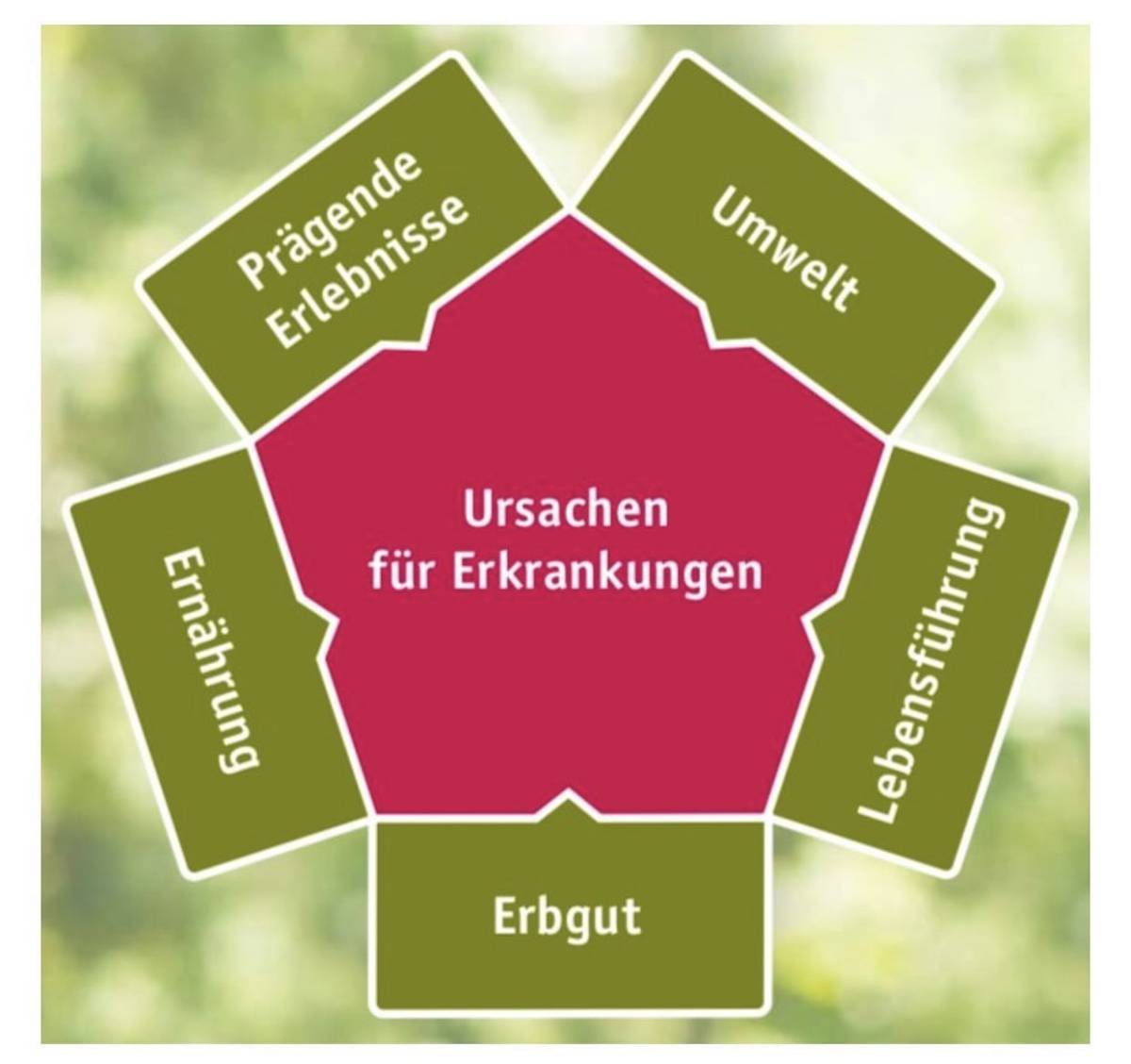 Gesundheitspraxis Strahlen mit Herz - Brugg - Coaching en gestion du stress