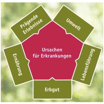 Gesundheitspraxis Strahlen mit Herz - Brugg - Coaching en gestion du stress
