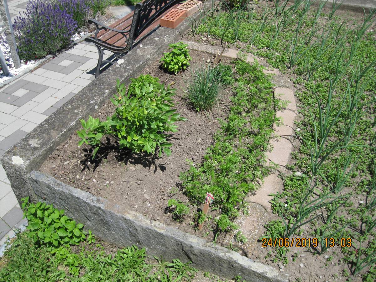 Haller's ServiceBEO - Thun - Riego y cuidado de plantas
