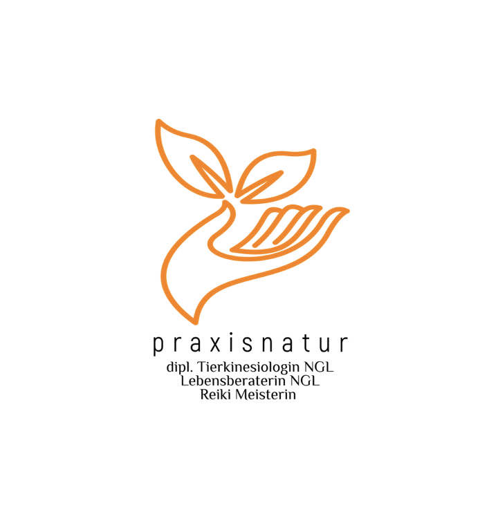 praxisnatur - Glarus Nord - Meditation