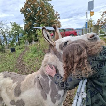praxisnatur - Glarus Nord - Coaching