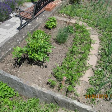 Haller's ServiceBEO - Thun - Gartenbewässerung und -pflege