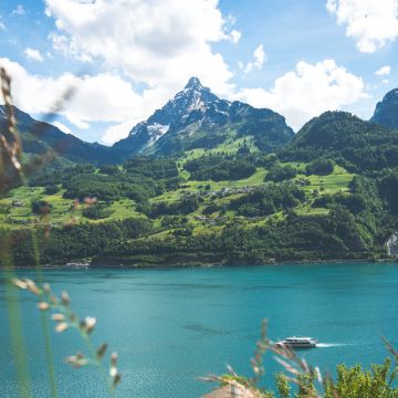 RuBlue Photography - Zürich - Fotorestaurierung