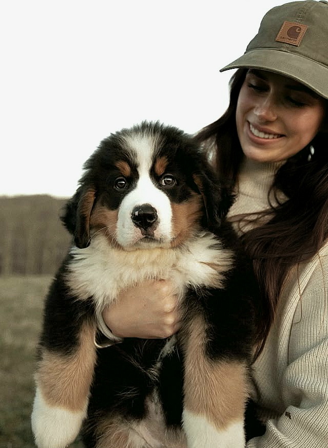 Angela - Bonstetten - Hundetagesstätte (Hundesitter)