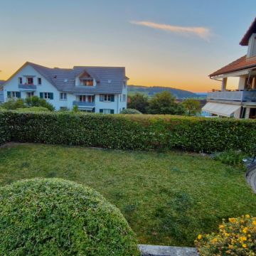 Angela - Bonstetten - Hundepension