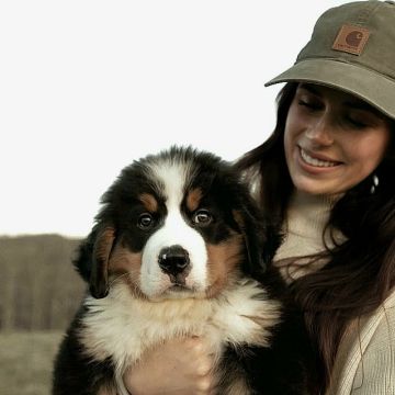 Angela - Bonstetten - Hundetagesstätte (Hundesitter)