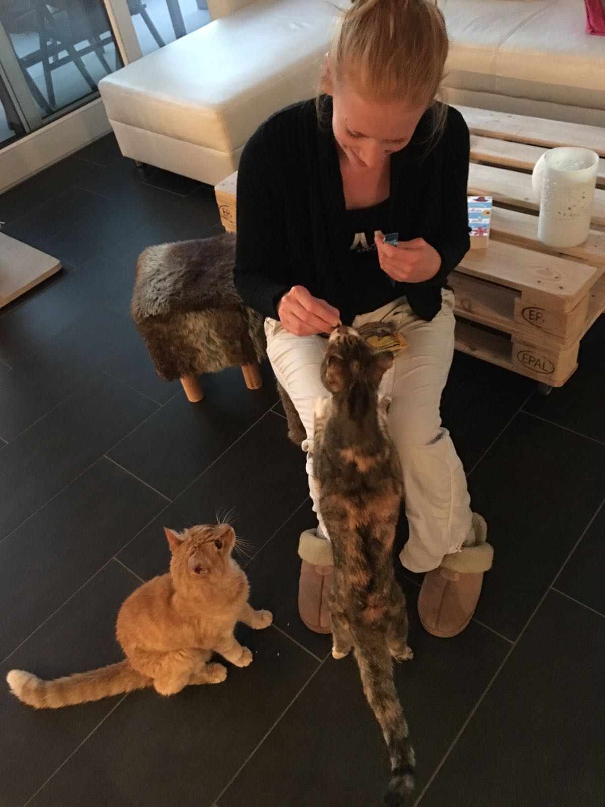 Claudia - Worb - Pet Boarding and Daycare
