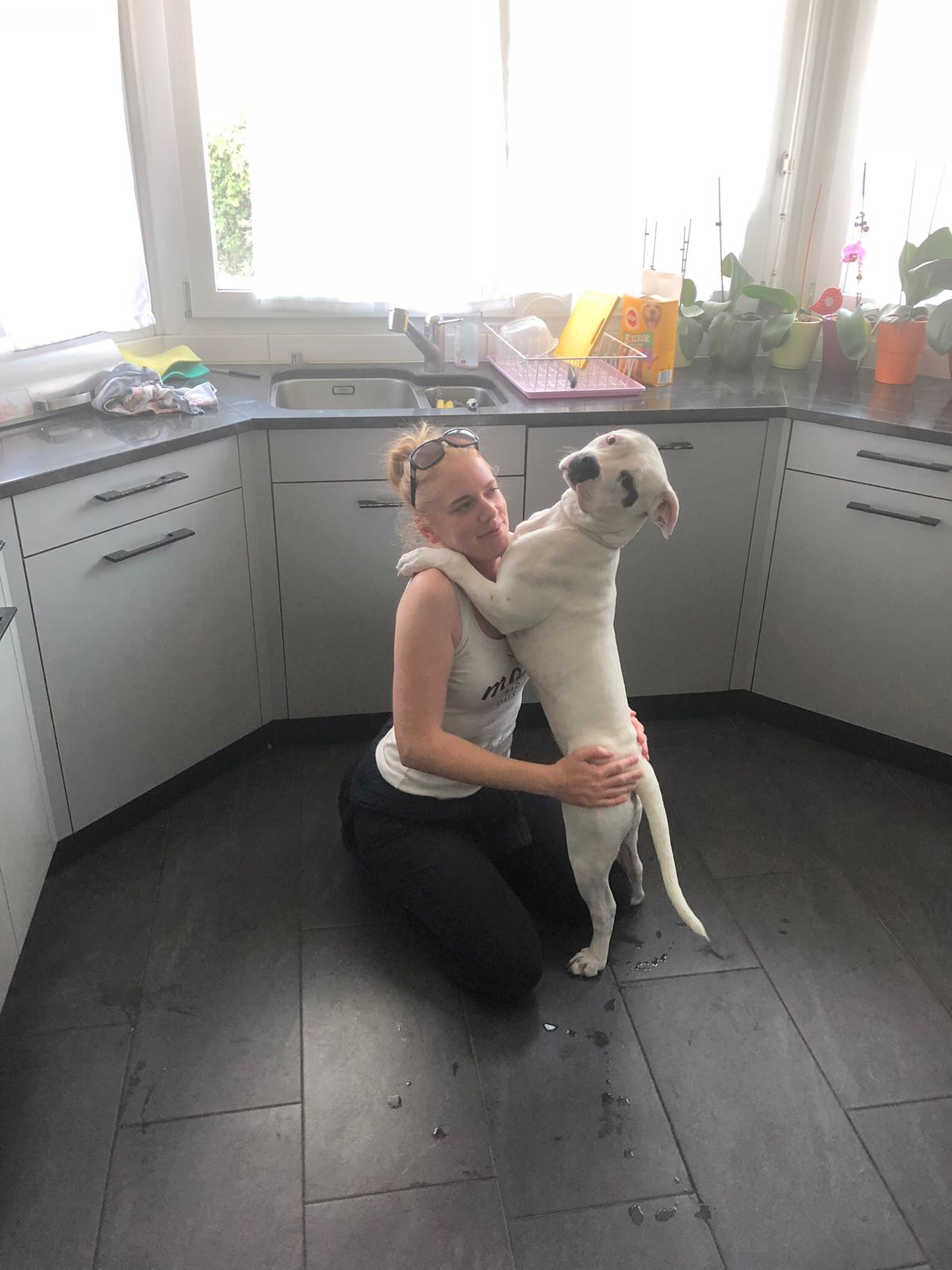 Claudia - Worb - Dog Sitting