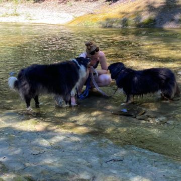 Claudia - Worb - Pet Care and Grooming