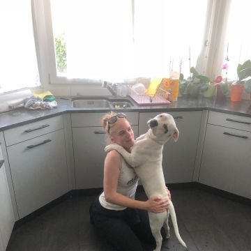 Claudia - Worb - Dog Sitting