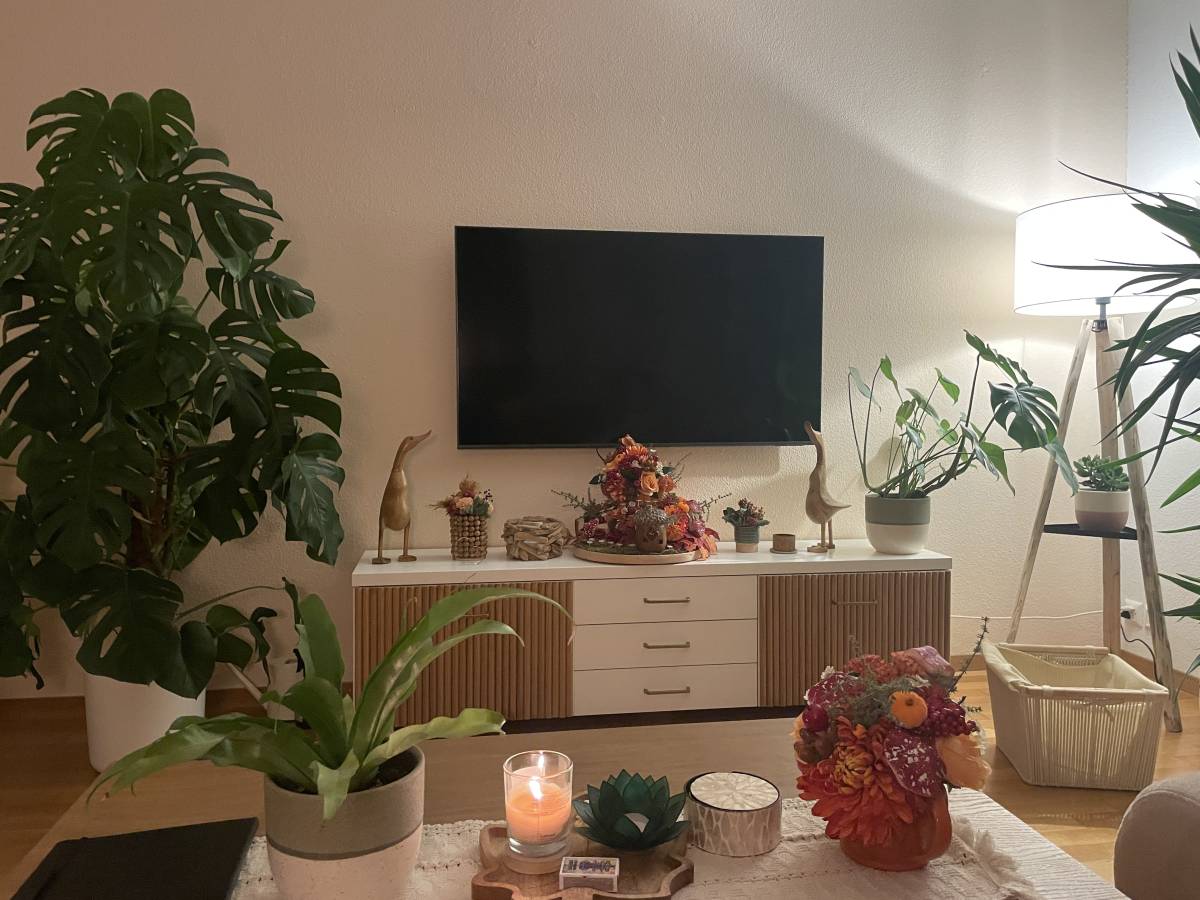 TV Mounting Specialist