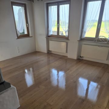 Elle Facility Service GmbH - Frauenfeld - Élimination d’animaux et de rongeurs