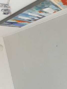 Inspección y eliminación de moho